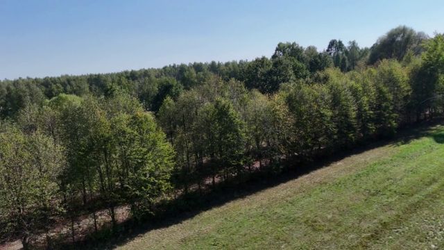 Działka rolna Celinów, ul. Różana. Zdjęcie 10