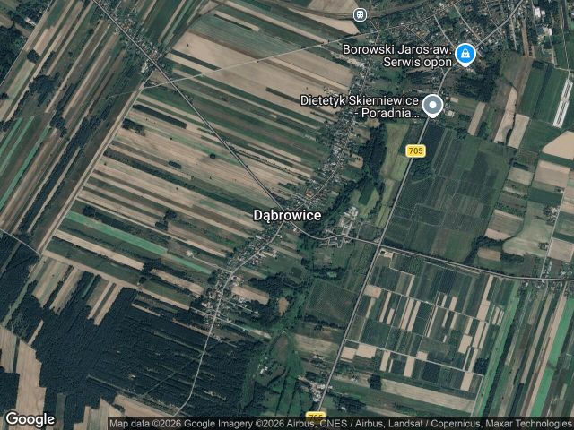 Działka rolno-budowlana Dąbrowice, Dabrowice160. Zdjęcie 1