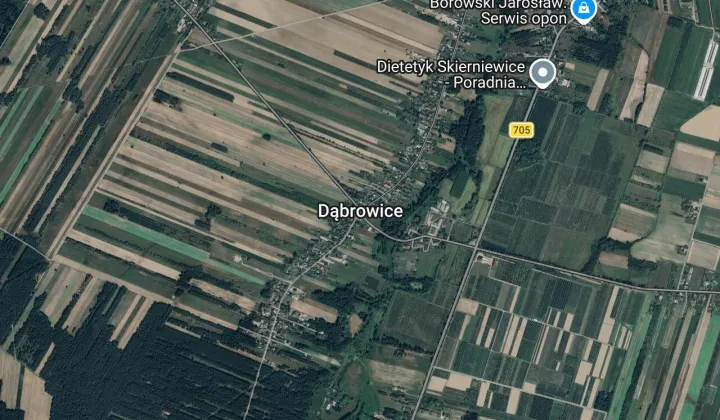 Działka rolno-budowlana Dąbrowice, Dabrowice160