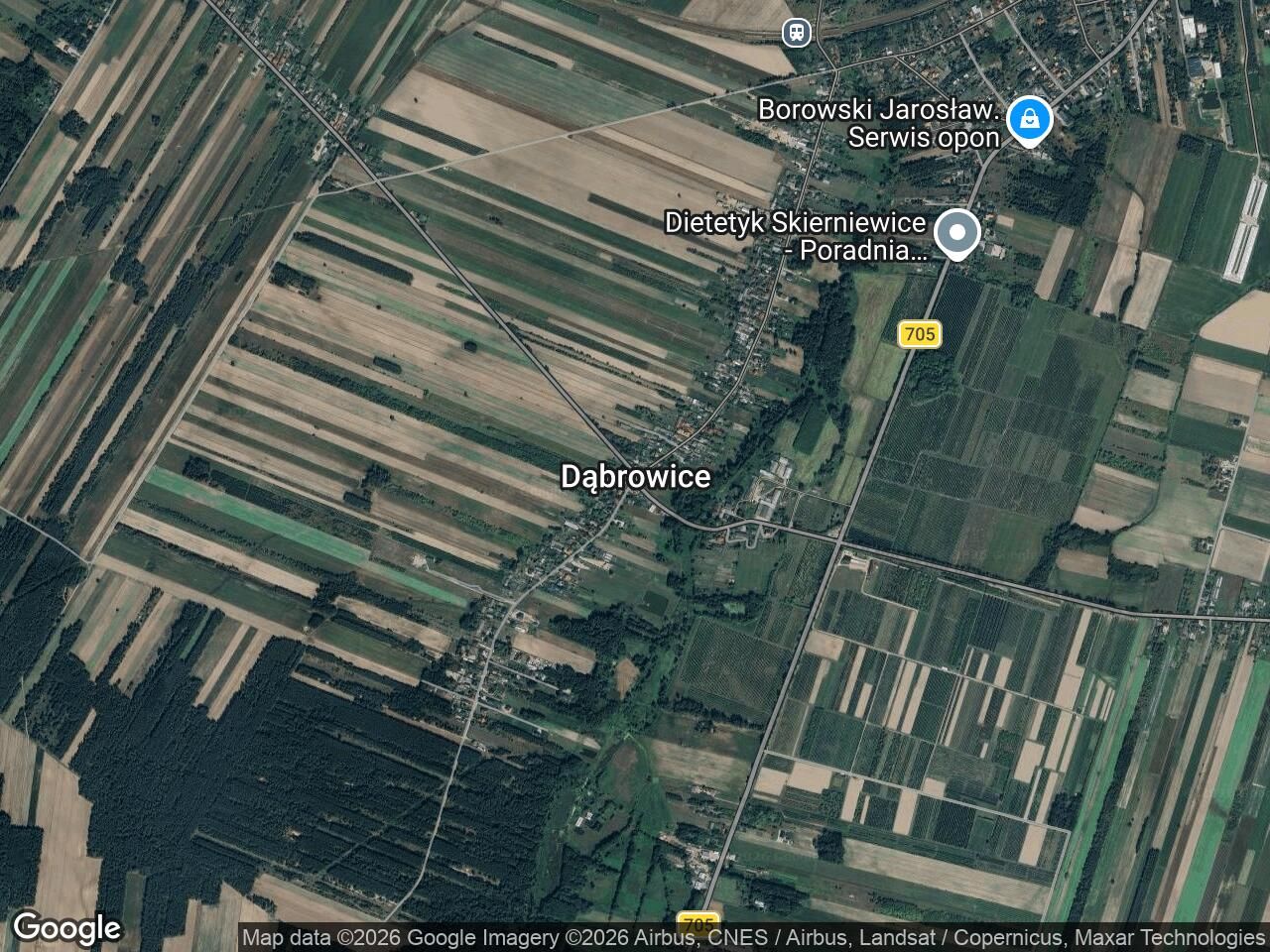 Działka rolno-budowlana Dąbrowice, Dabrowice160. Zdjęcie 1