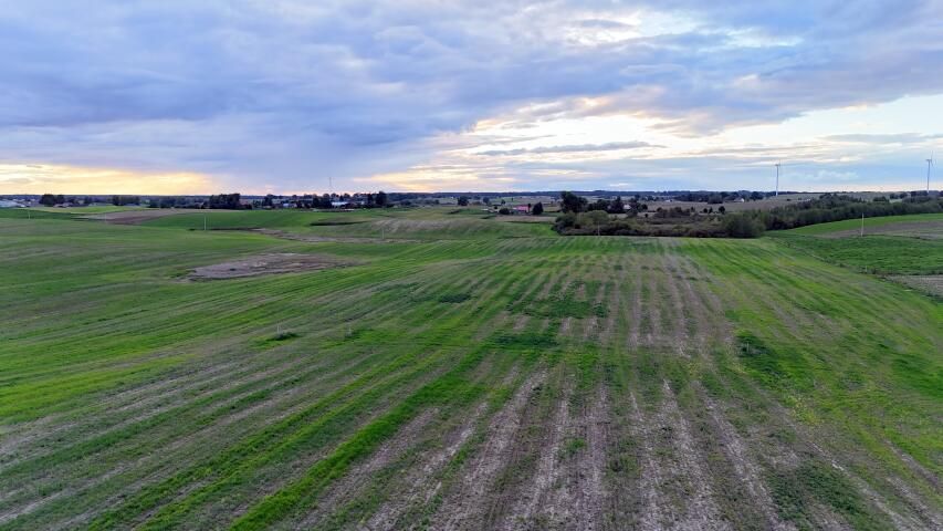 Działka siedliskowa Laseczno. Zdjęcie 12