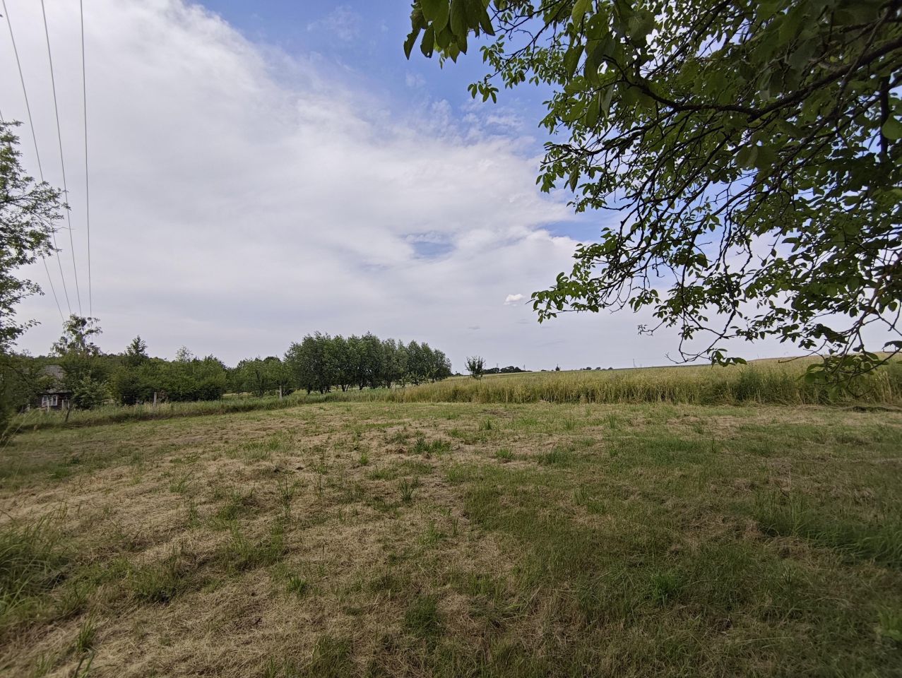 Działka rolno-budowlana Stawki Szkorutyniec. Zdjęcie 4