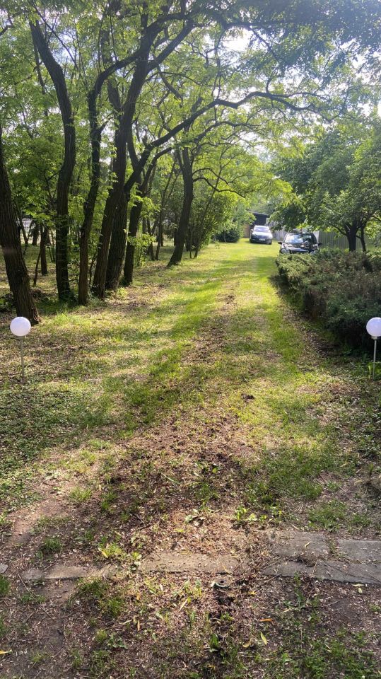 Działka budowlana Rogowo. Zdjęcie 5