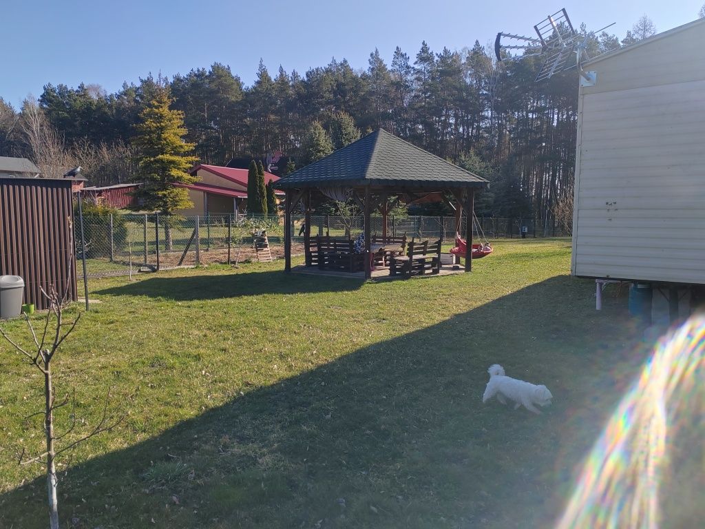 Działka rolno-budowlana Żytno. Zdjęcie 2