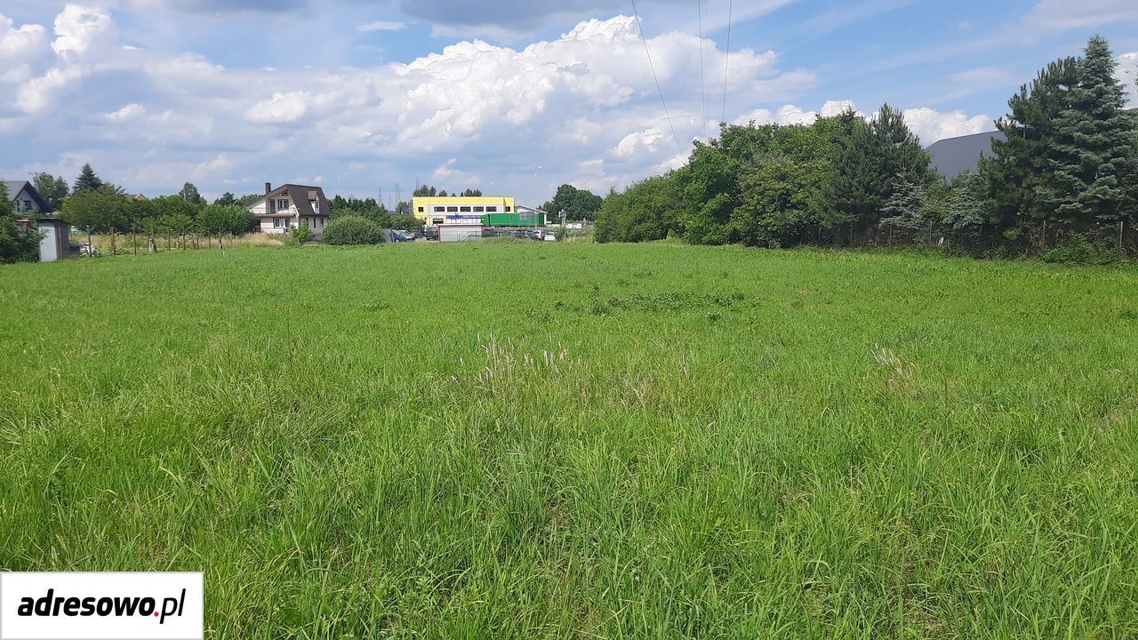 Działka inwestycyjna Zamość, ul. Głogowa. Zdjęcie 5