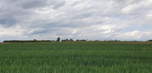 Działka rolna Barnisław. Zdjęcie 1
