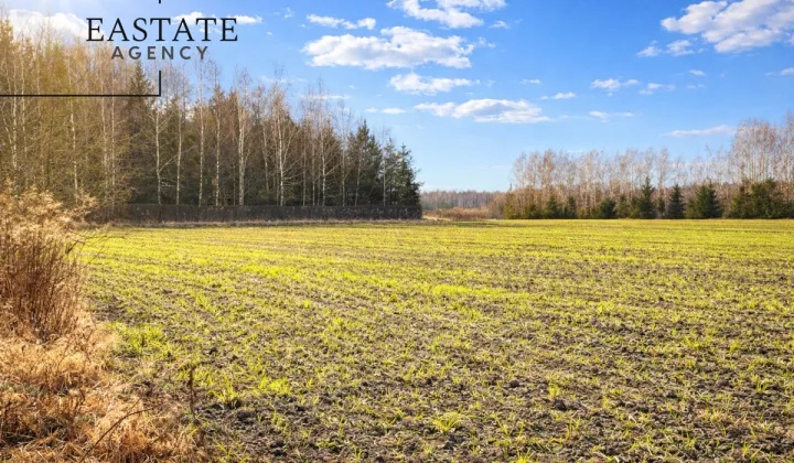 Działka inwestycyjna Harsz