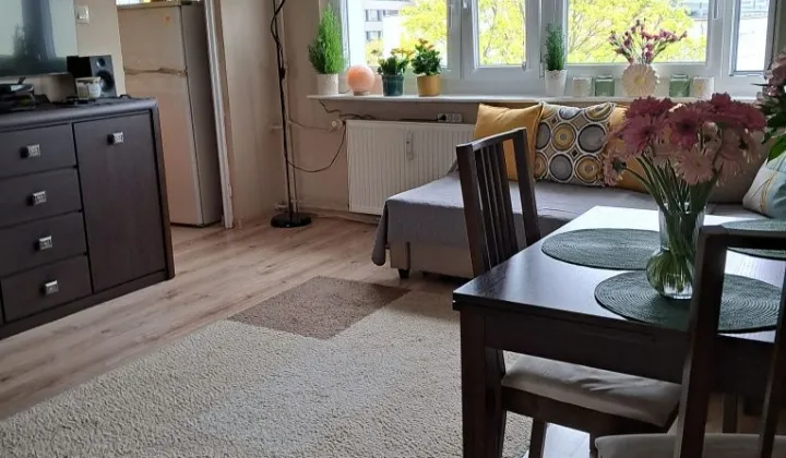 Mieszkanie 2-pokojowe Poznań Grunwald, ul. Ognik