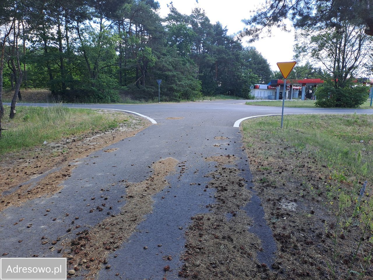 Działka budowlana Sobienie Biskupie. Zdjęcie 8