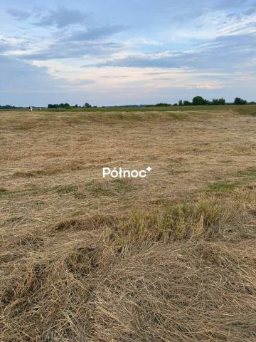 Działka rolna Krzewo. Zdjęcie 9