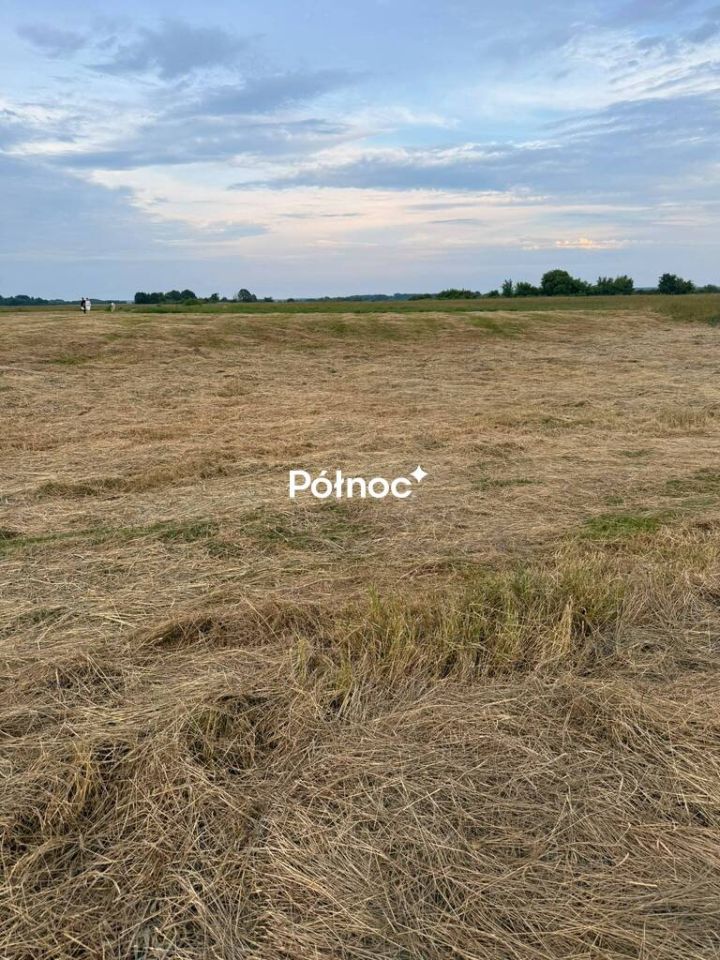 Działka rolna Krzewo. Zdjęcie 9