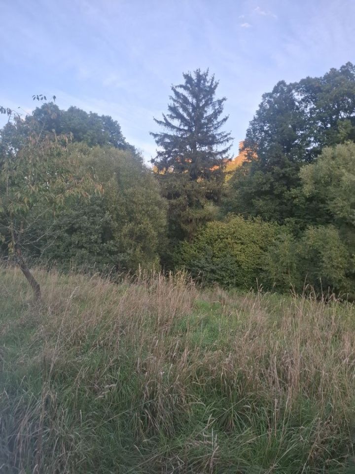Działka budowlana Bolków, ul. Mikołaja Kopernika. Zdjęcie 5