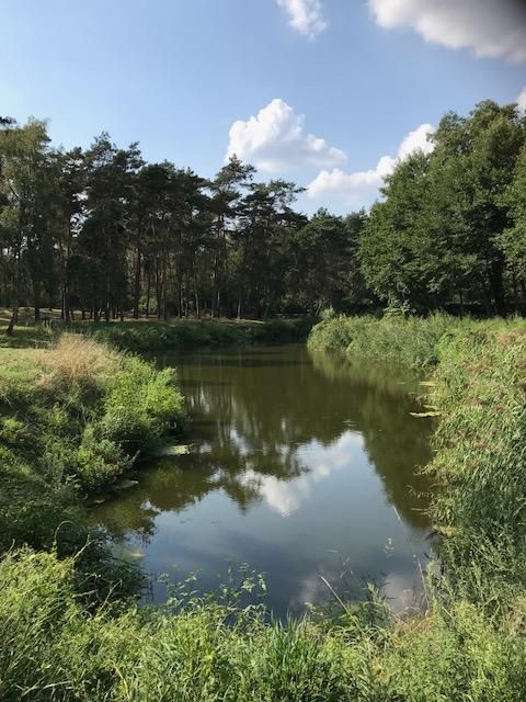 Działka budowlana Niemieczkowo. Zdjęcie 3