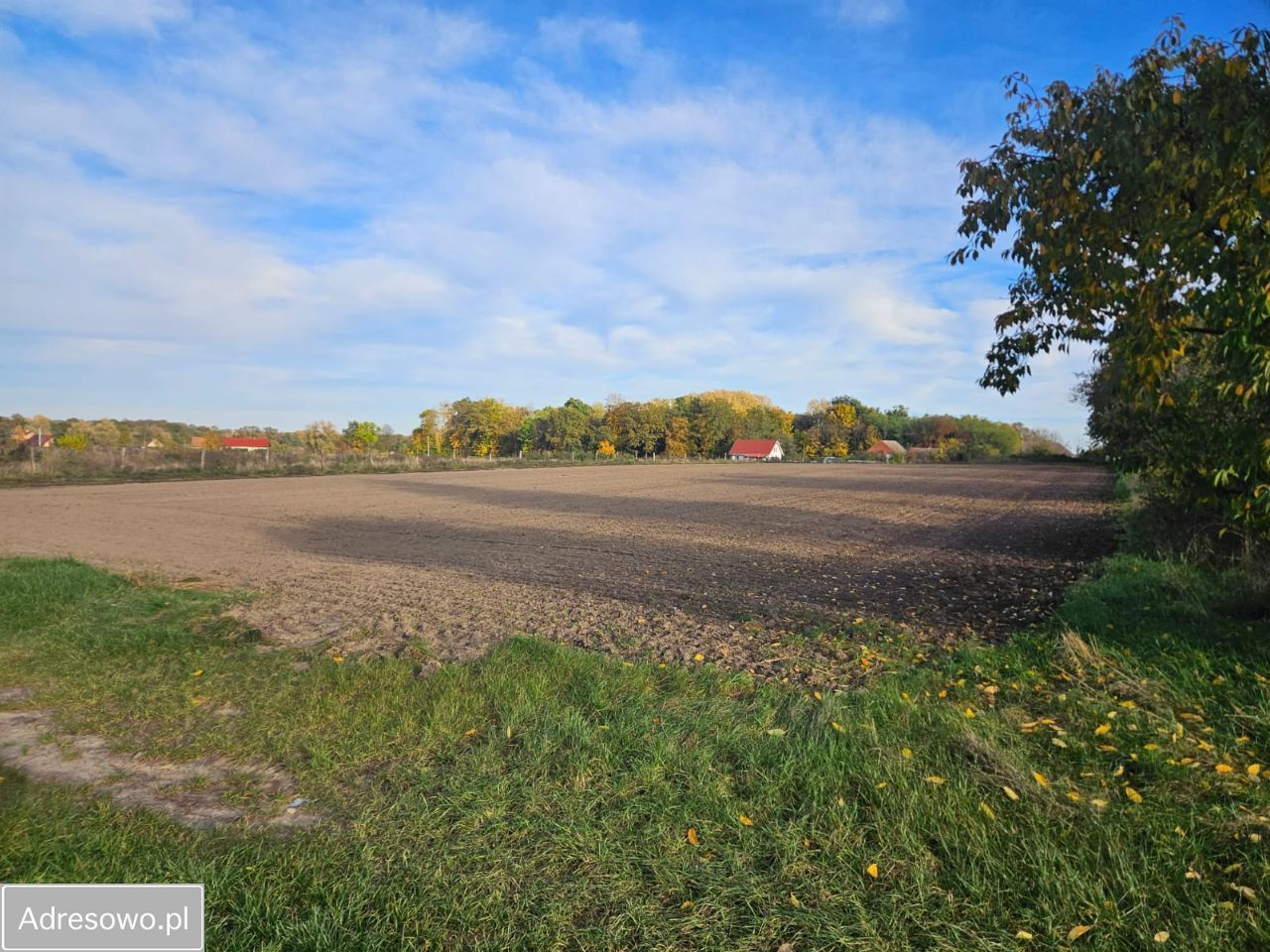 Działka budowlana Chodlewko. Zdjęcie 4