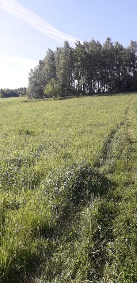 Działka rolno-budowlana Konieczkowa. Zdjęcie 7