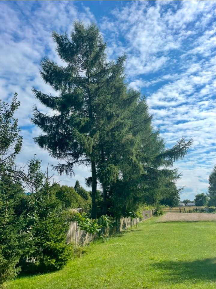 Działka budowlana Włoszczowa, ul. Spacerowa. Zdjęcie 8