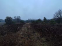 Działka rolna Wola Korybutowa Pierwsza. Zdjęcie 2