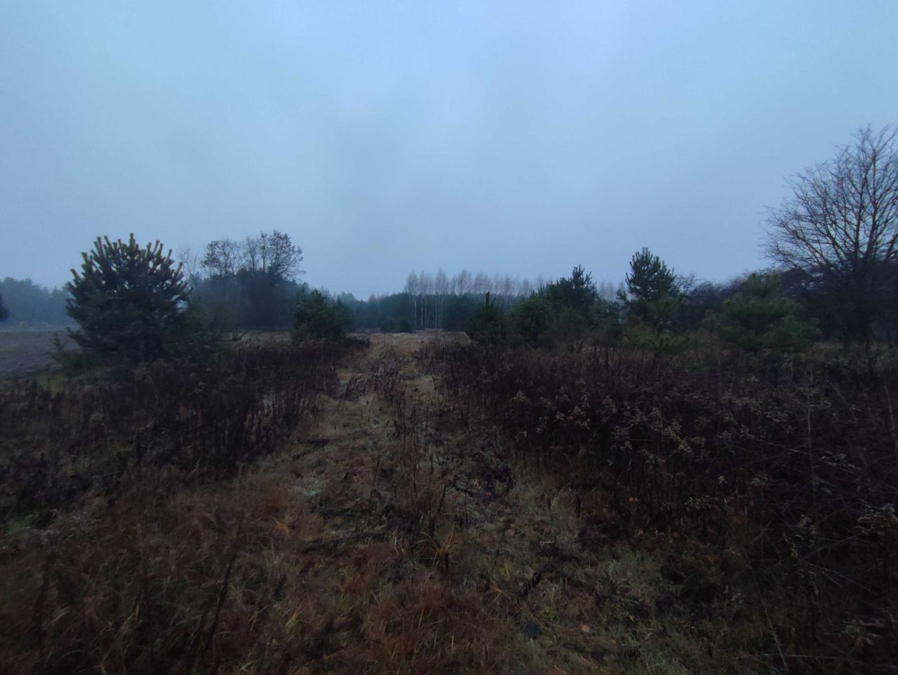 Działka rolna Wola Korybutowa Pierwsza. Zdjęcie 3