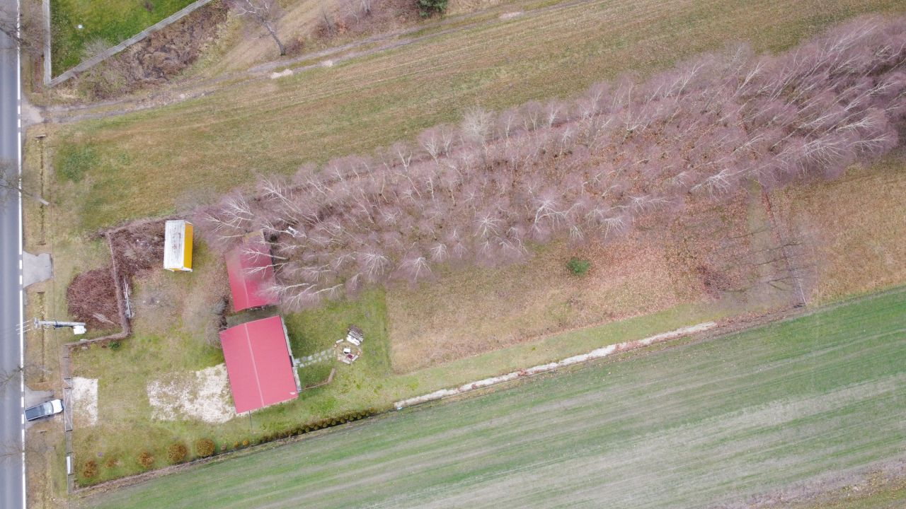 Działka budowlana Lgoczanka. Zdjęcie 12