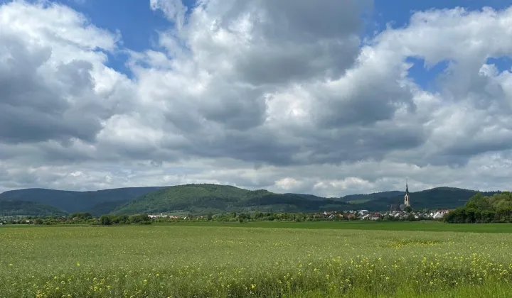 dom wolnostojący, 8 pokoi Pieszyce, ul. Nadbrzeżna
