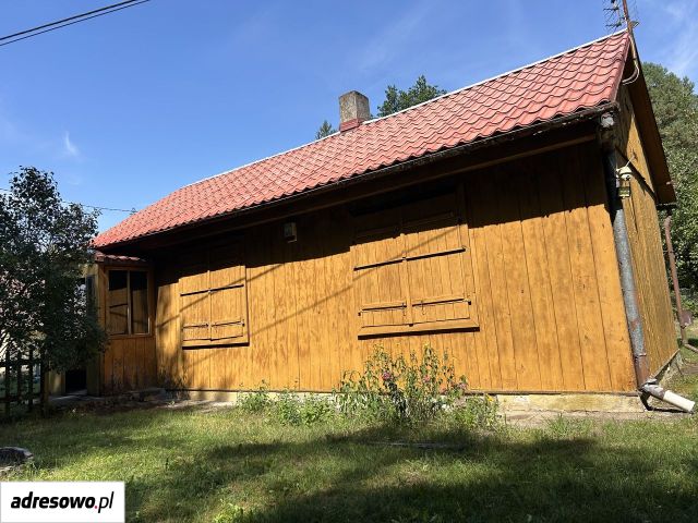 Działka leśna Kijów. Zdjęcie 1