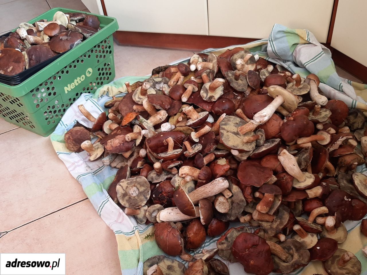 Działka rekreacyjna Strobin. Zdjęcie 12
