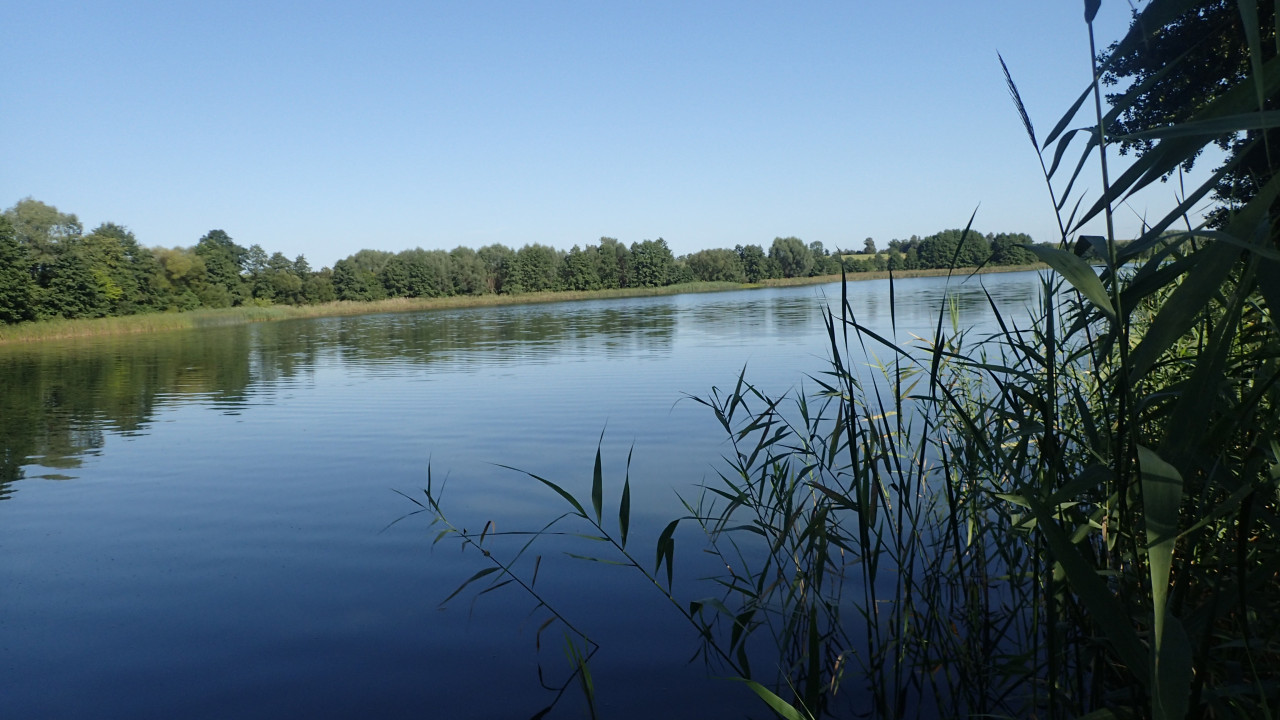 Działka budowlana Jarczechowo. Zdjęcie 6