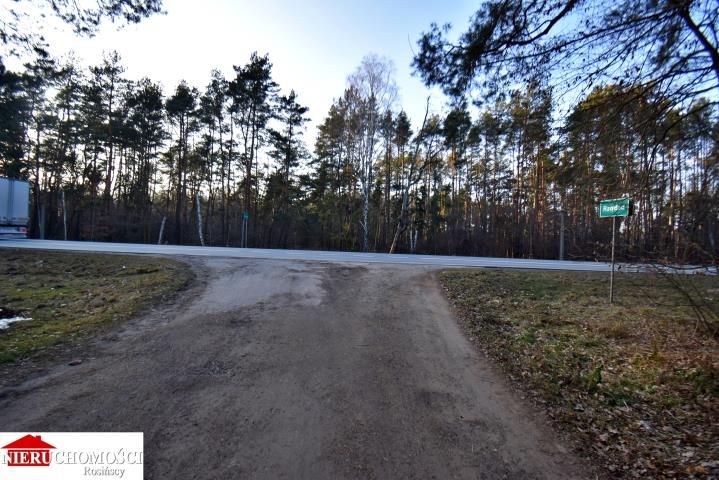 Działka leśna Stanisławów. Zdjęcie 13