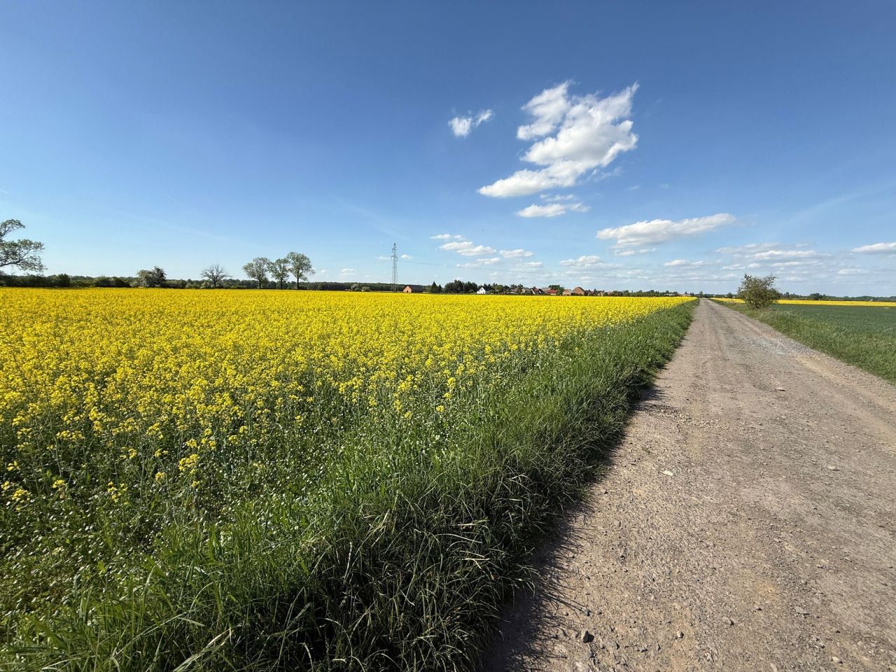 Działka budowlana Żelazna. Zdjęcie 6
