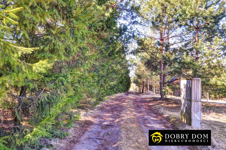 Działka budowlana Płaska. Zdjęcie 3