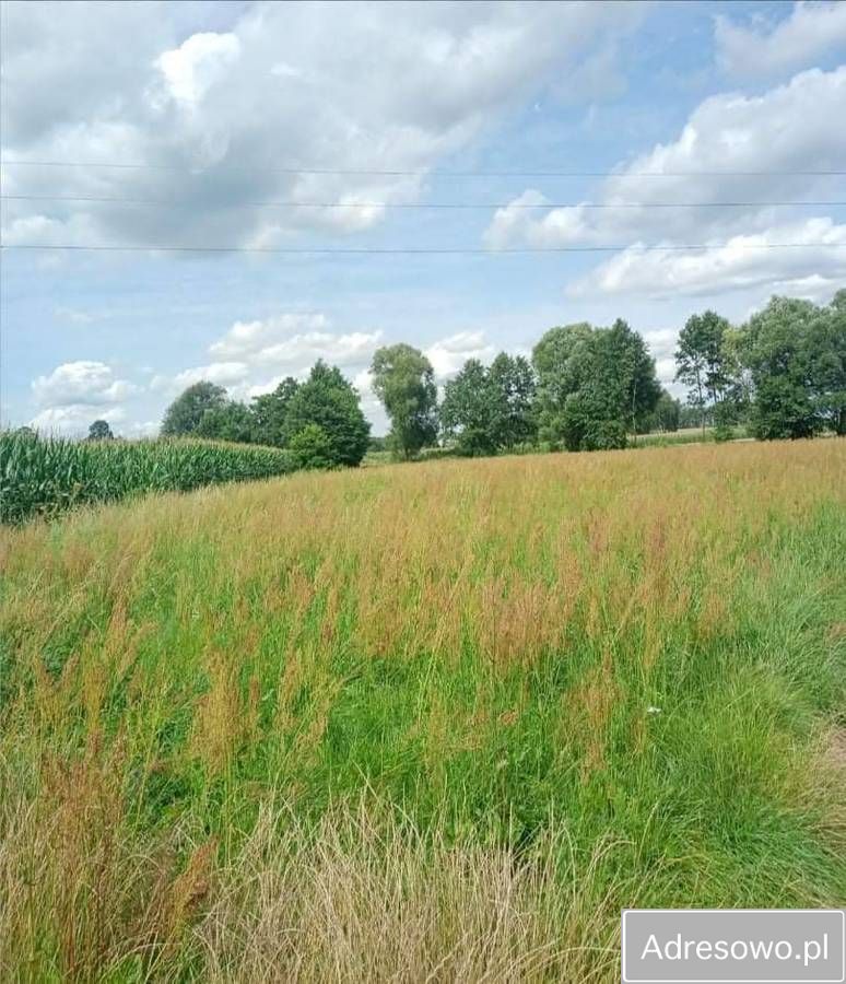 Działka budowlana Lipka. Zdjęcie 2