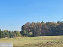 Działka budowlana Świętosławice. Zdjęcie 2