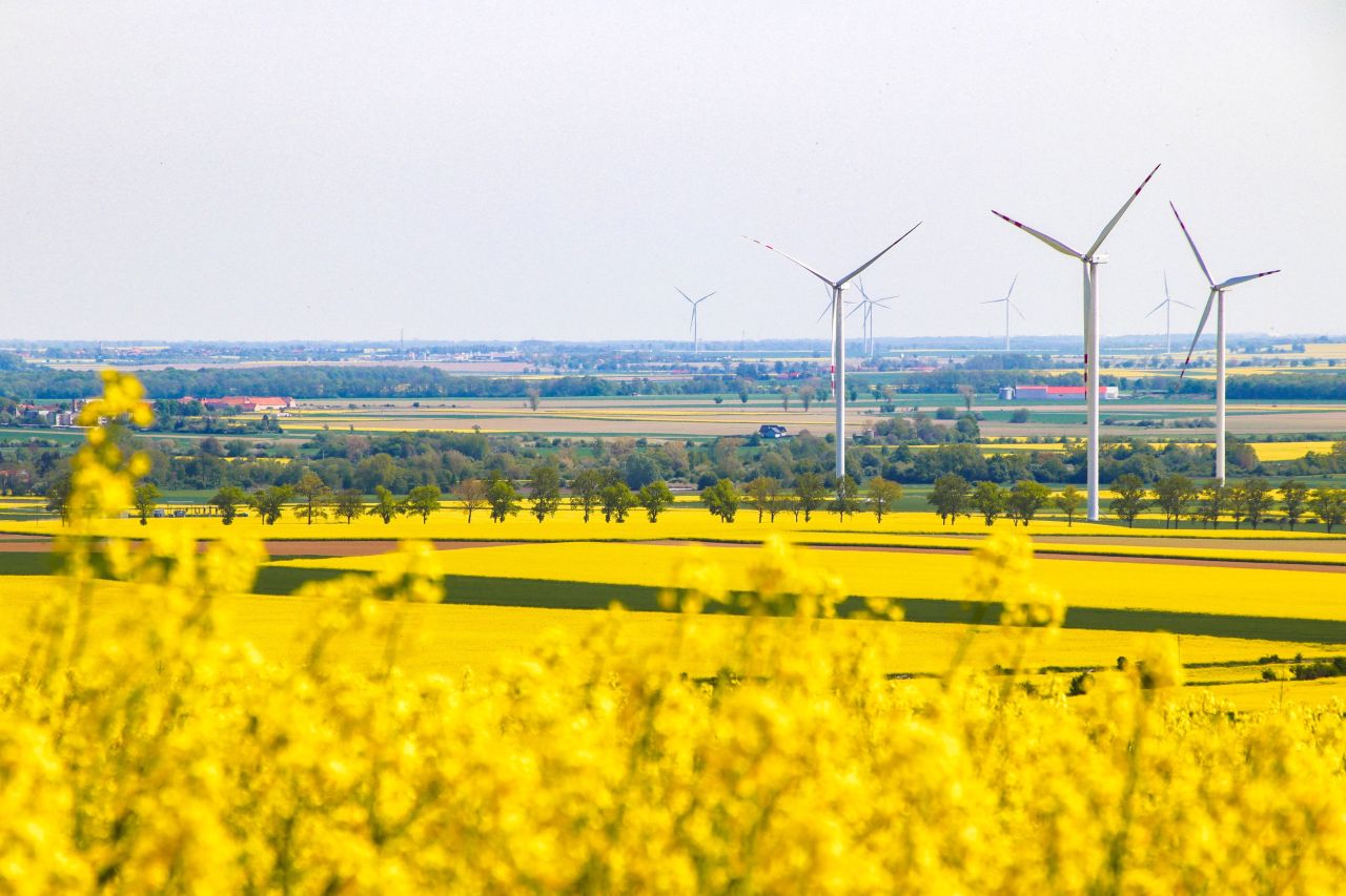 Działka budowlana Ujazd Górny. Zdjęcie 6