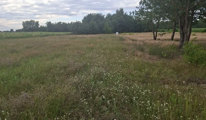 Działka budowlana Dachowa