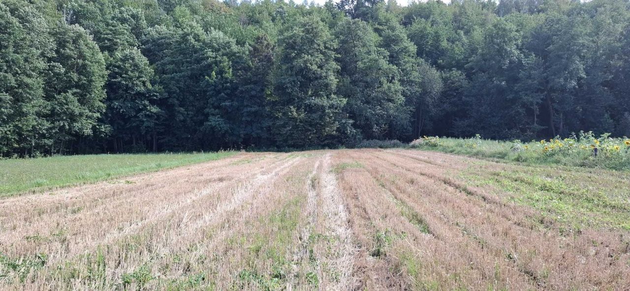Działka rolno-budowlana Ułanowice. Zdjęcie 6