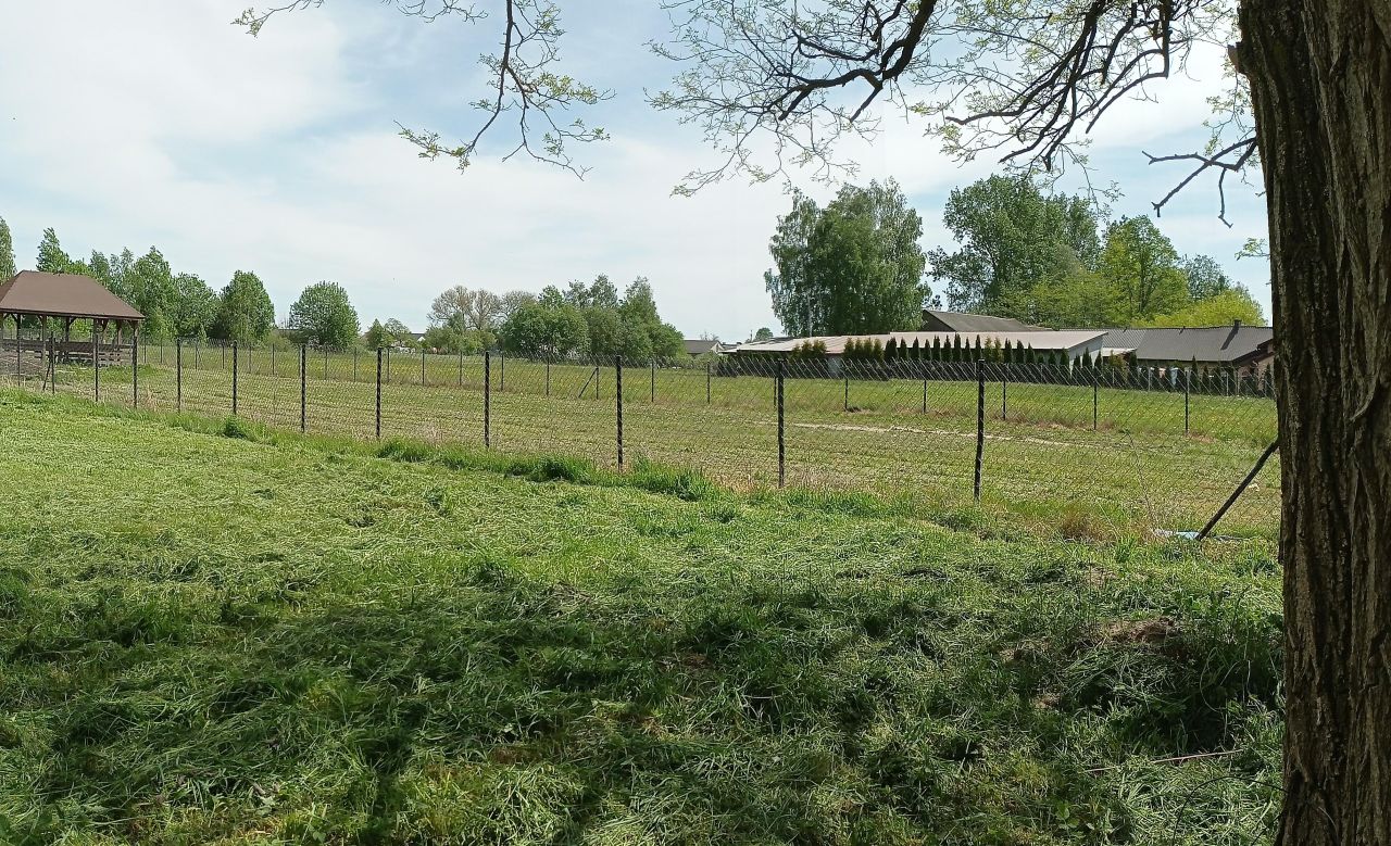 Działka budowlana Wola Brudnowska. Zdjęcie 8