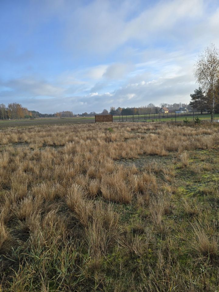 Działka inna Jurgi. Zdjęcie 5