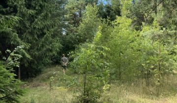 Działka rolno-budowlana Płaska