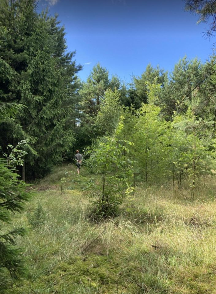 Działka rolno-budowlana Płaska. Zdjęcie 2