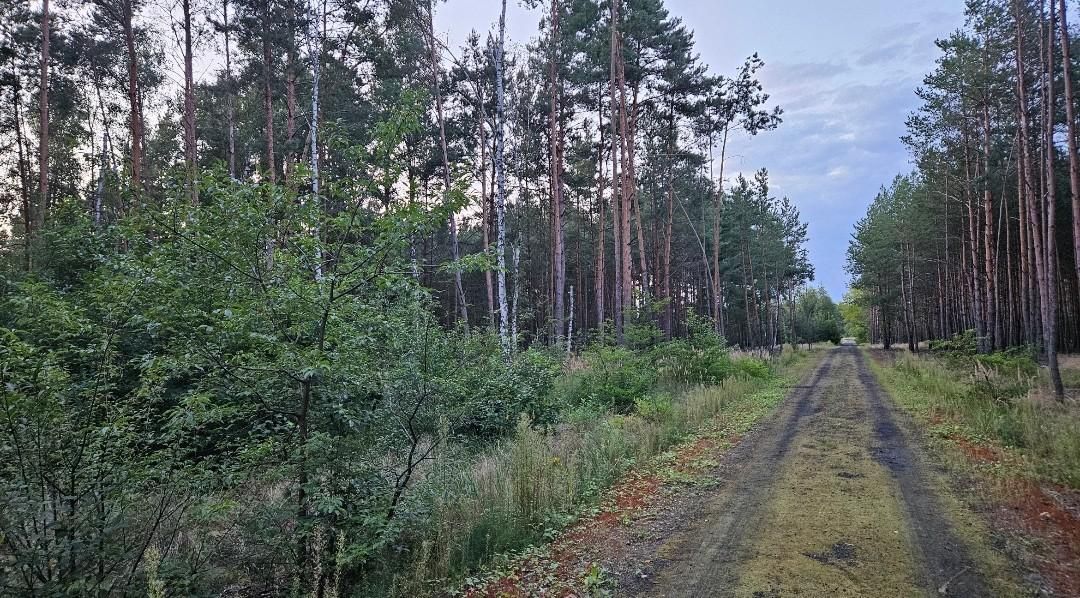 Działka budowlana Solec Kujawski, ul. Garbary. Zdjęcie 12