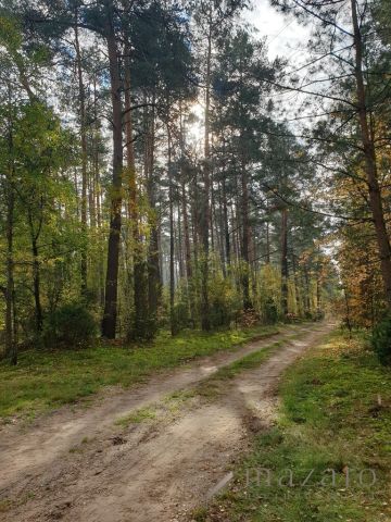 Działka budowlana Czarże. Zdjęcie 6