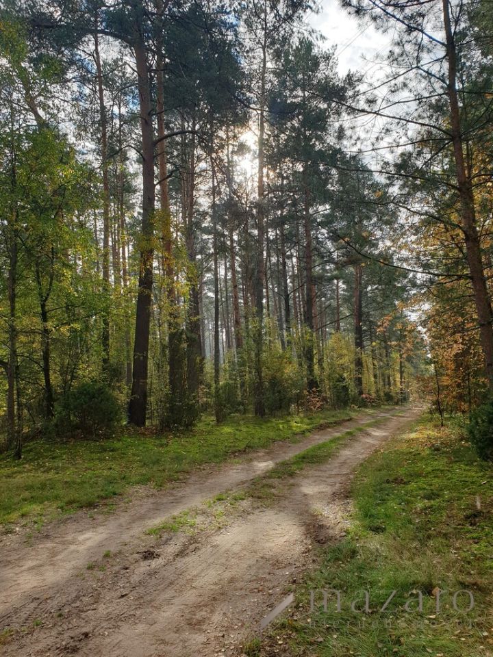 Działka budowlana Czarże. Zdjęcie 6