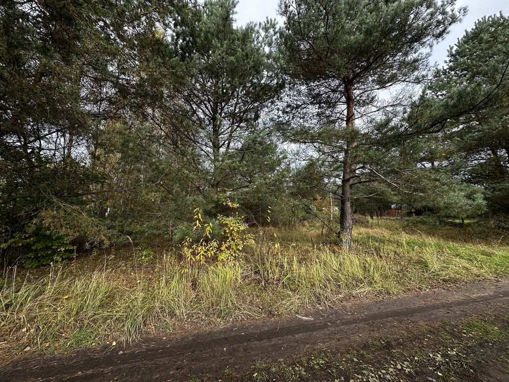 Działka budowlana Stare Wierzchowo. Zdjęcie 6