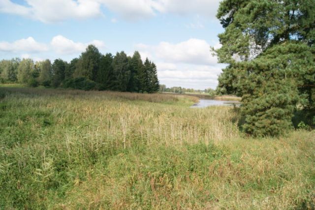 Działka budowlana Piecki. Zdjęcie 4