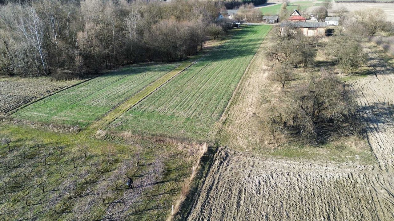 Działka rolna Boiska-Kolonia. Zdjęcie 7