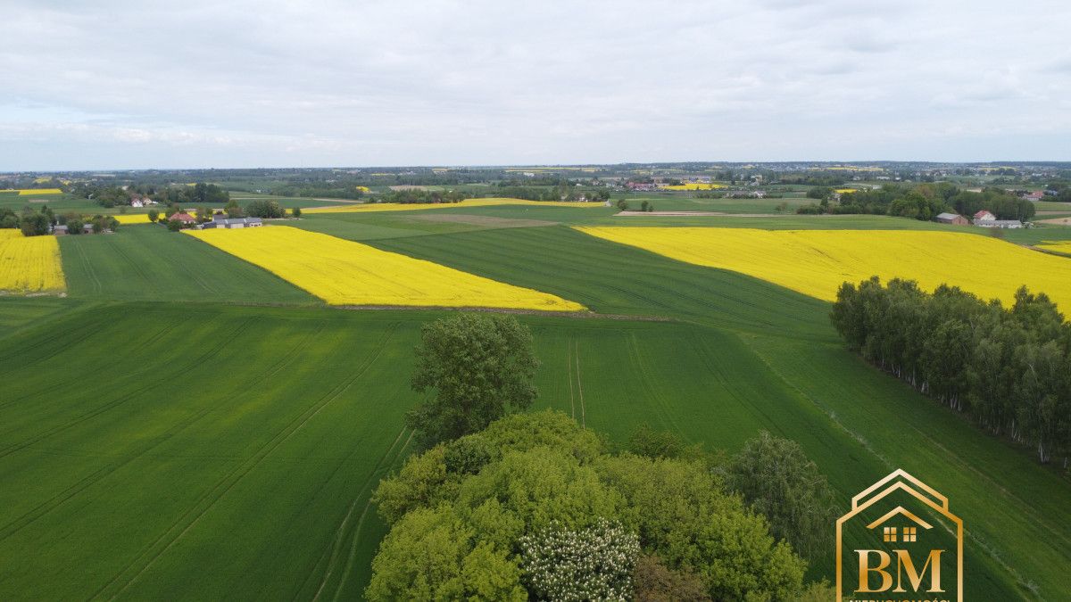Działka siedliskowa Płouszowice-Kolonia. Zdjęcie 7