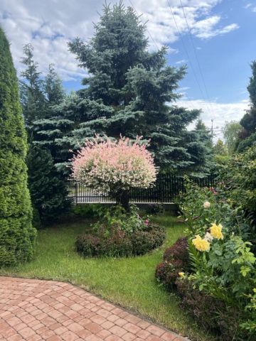 dom wolnostojący, 5 pokoi Piaseczno. Zdjęcie 8