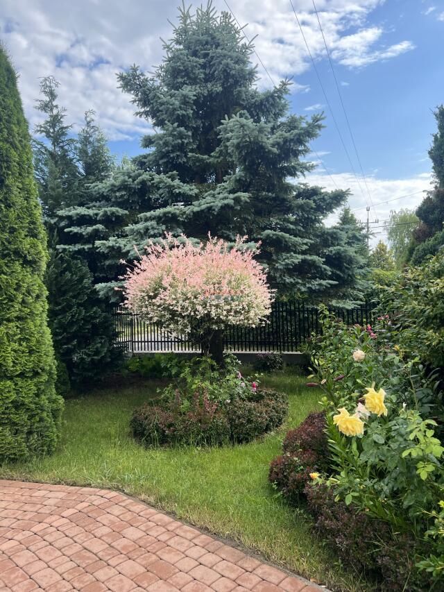 dom wolnostojący, 5 pokoi Piaseczno. Zdjęcie 8