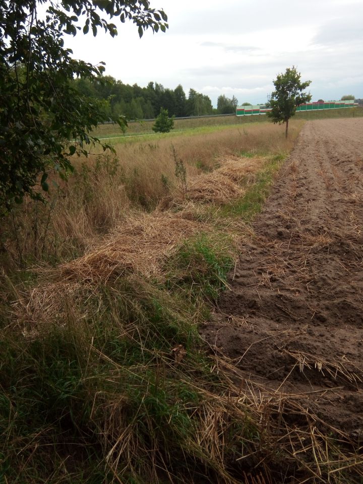 Działka siedliskowa Janów. Zdjęcie 3