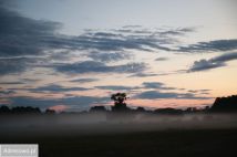 Działka rolna Wilcze Tułowskie. Zdjęcie 3